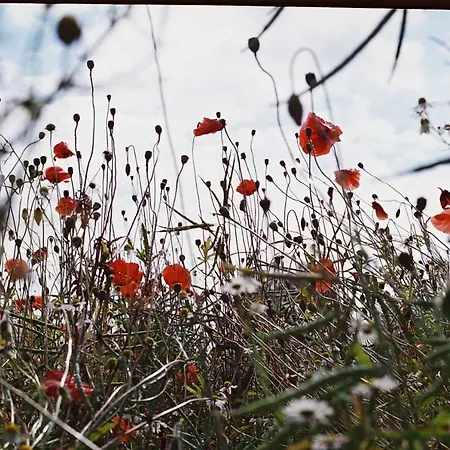 2 Mueritz - Haus Buchen Am Tiefwarensee - 2 Zi Апартаменты