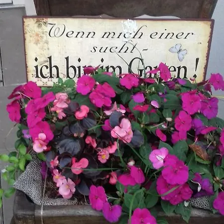 2 Mueritz - Haus Buchen Am Tiefwarensee - 2 Zi